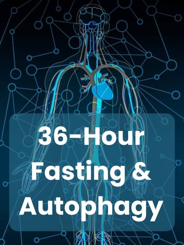 36 hour fasting and autophagy