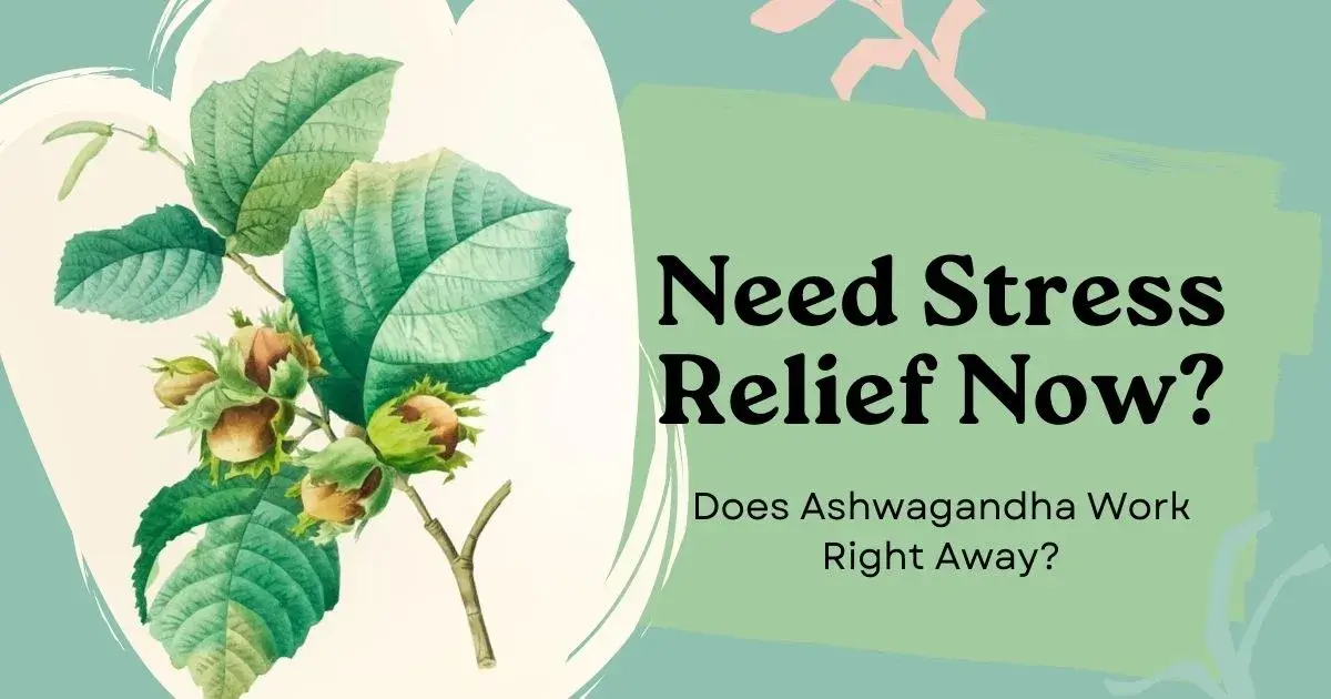 does ashwagandha work right away