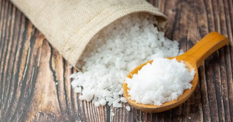 Celtic Salt for Cellular Hydration, Says Brecka gary brecka celtic salt