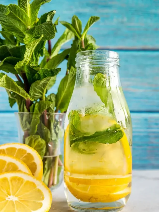 lemon balm for weight loss