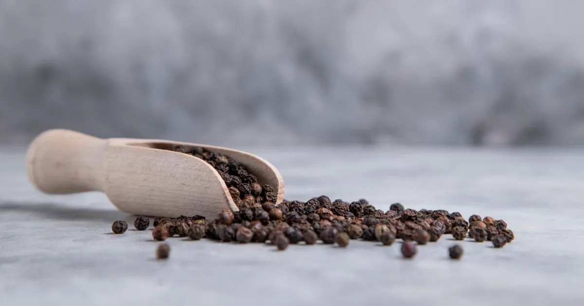 How Black Pepper Extract Supports Weight Loss black pepper extract for weight loss