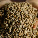 best time to drink green coffee for weight loss
