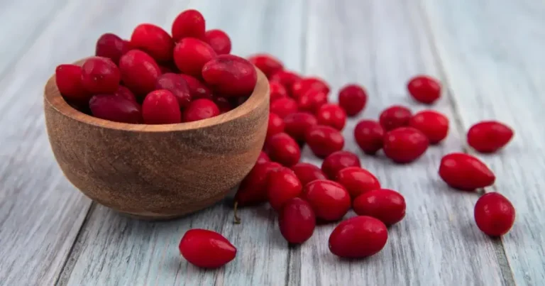 Does Burnt Berberine Help With Weight Loss? does burnt berberine help with weight loss